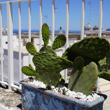 Casabella - Con Terrazza Panoramica بيت للعطل أوستوني